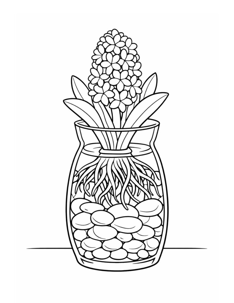 hyacinth in glass jar roots coloring page showing clustered blooms, leaves, roots, and pebbles coloring page