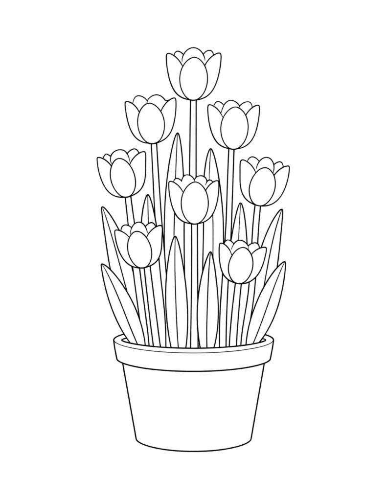 tulips growing in a pot coloring page with multiple tulip blooms and long leaves in a simple planter coloring page